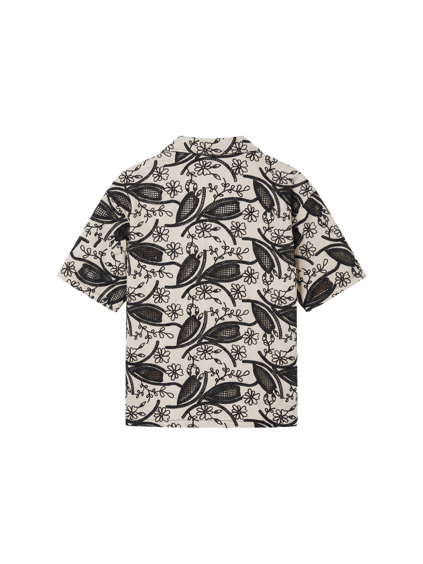 -packshot-backgroundremoved