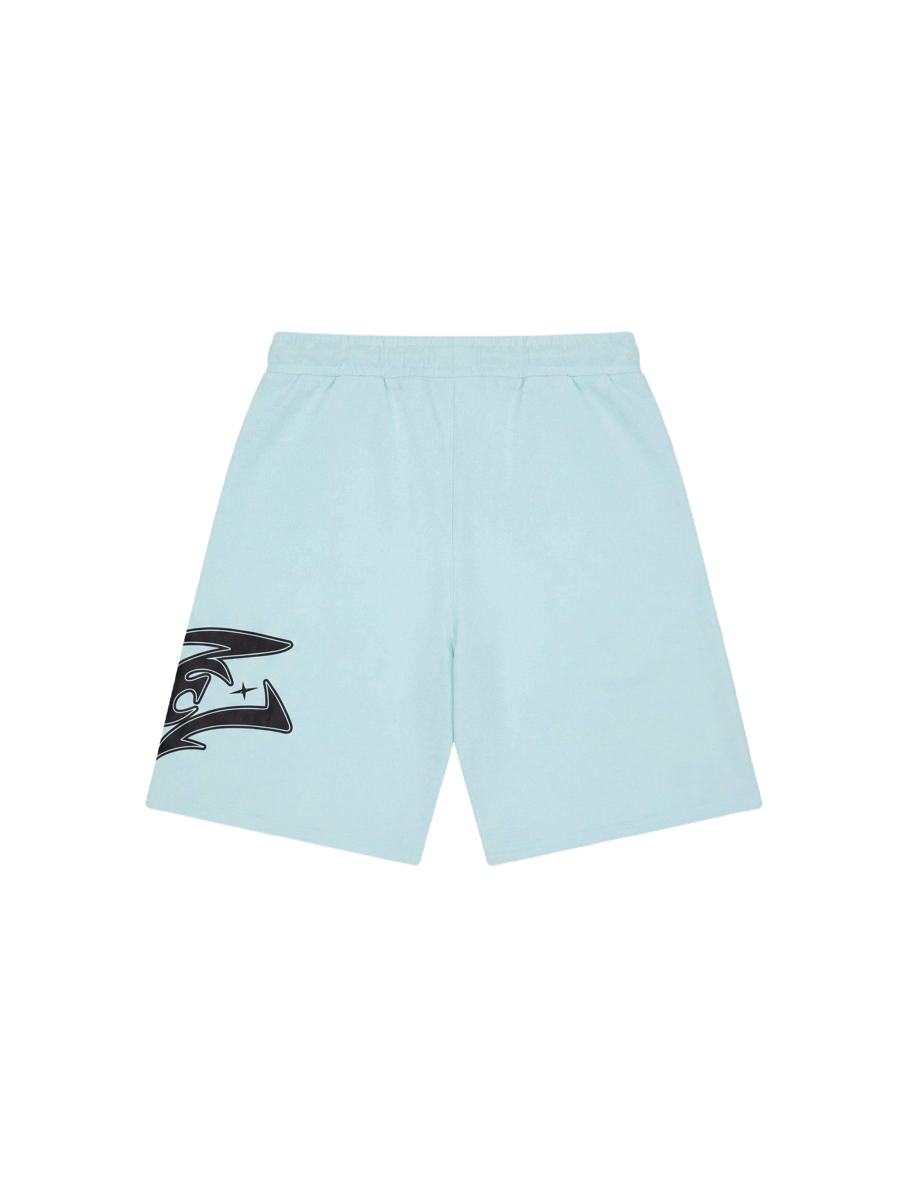 Flare Shorts-7