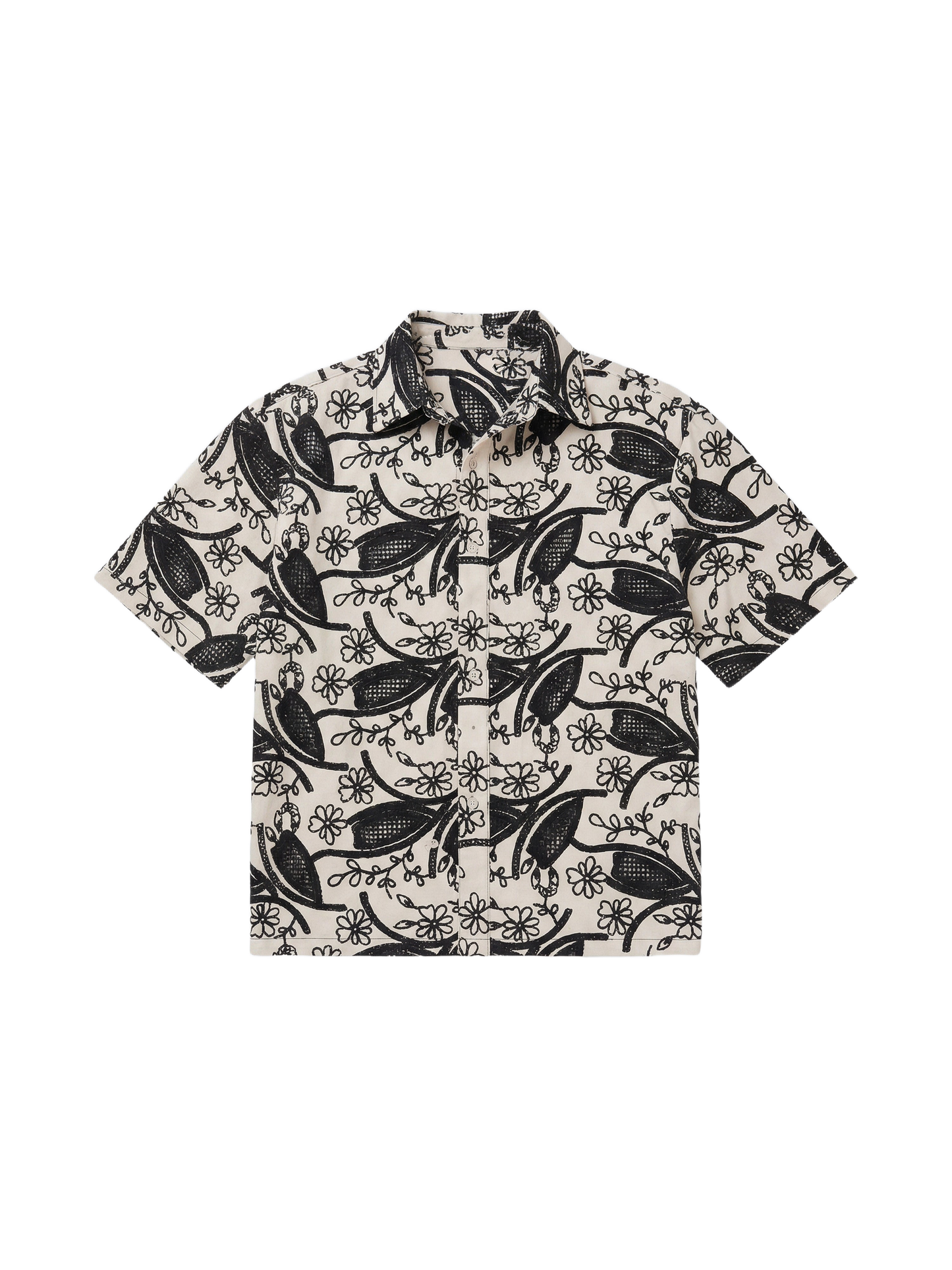 -packshot-backgroundremoved