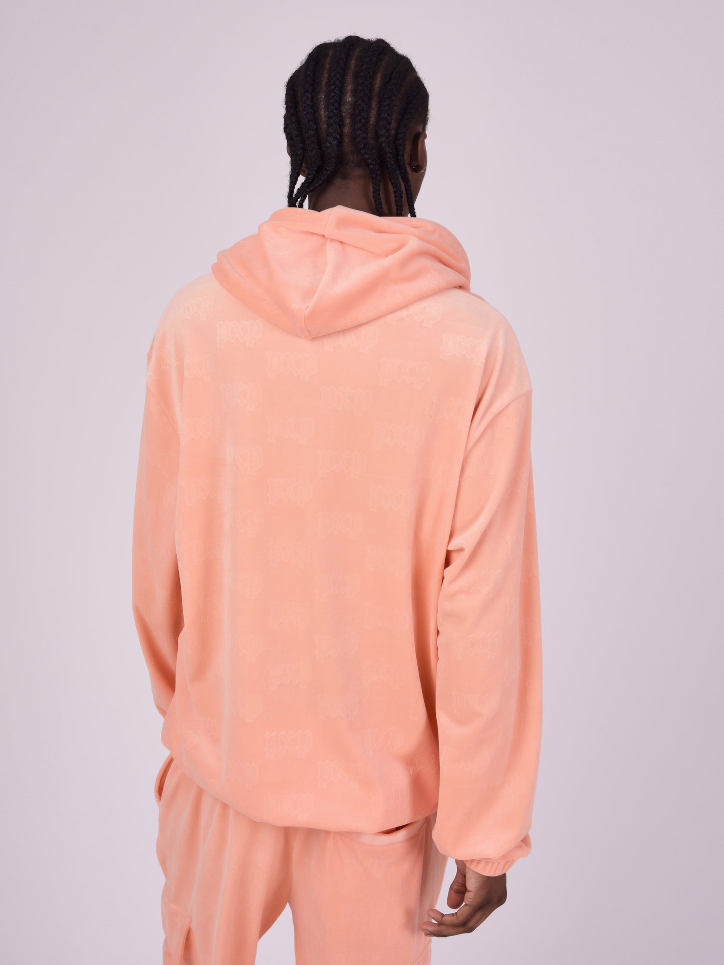 2220145-peche