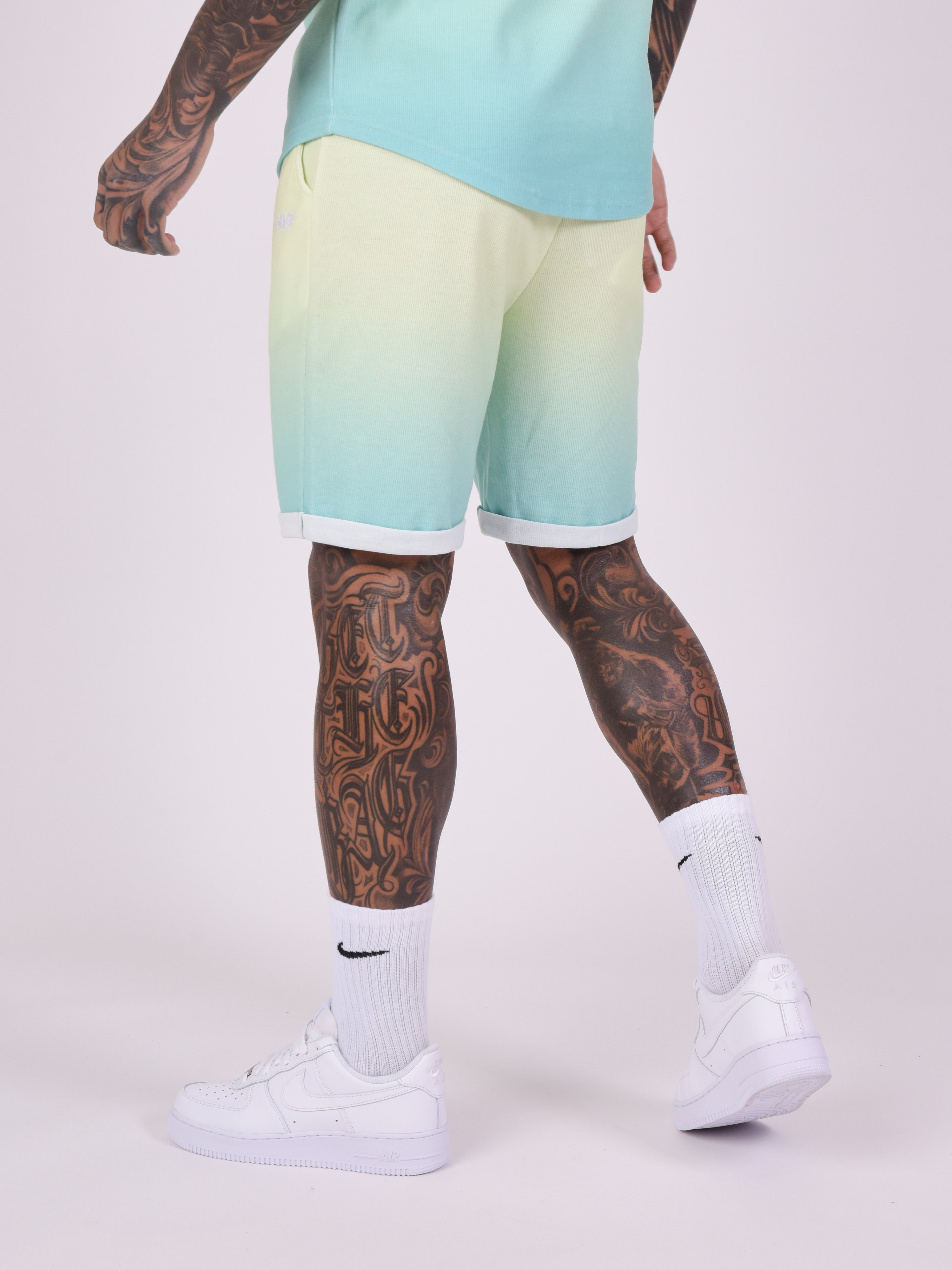 Gradient mesh style shorts-4