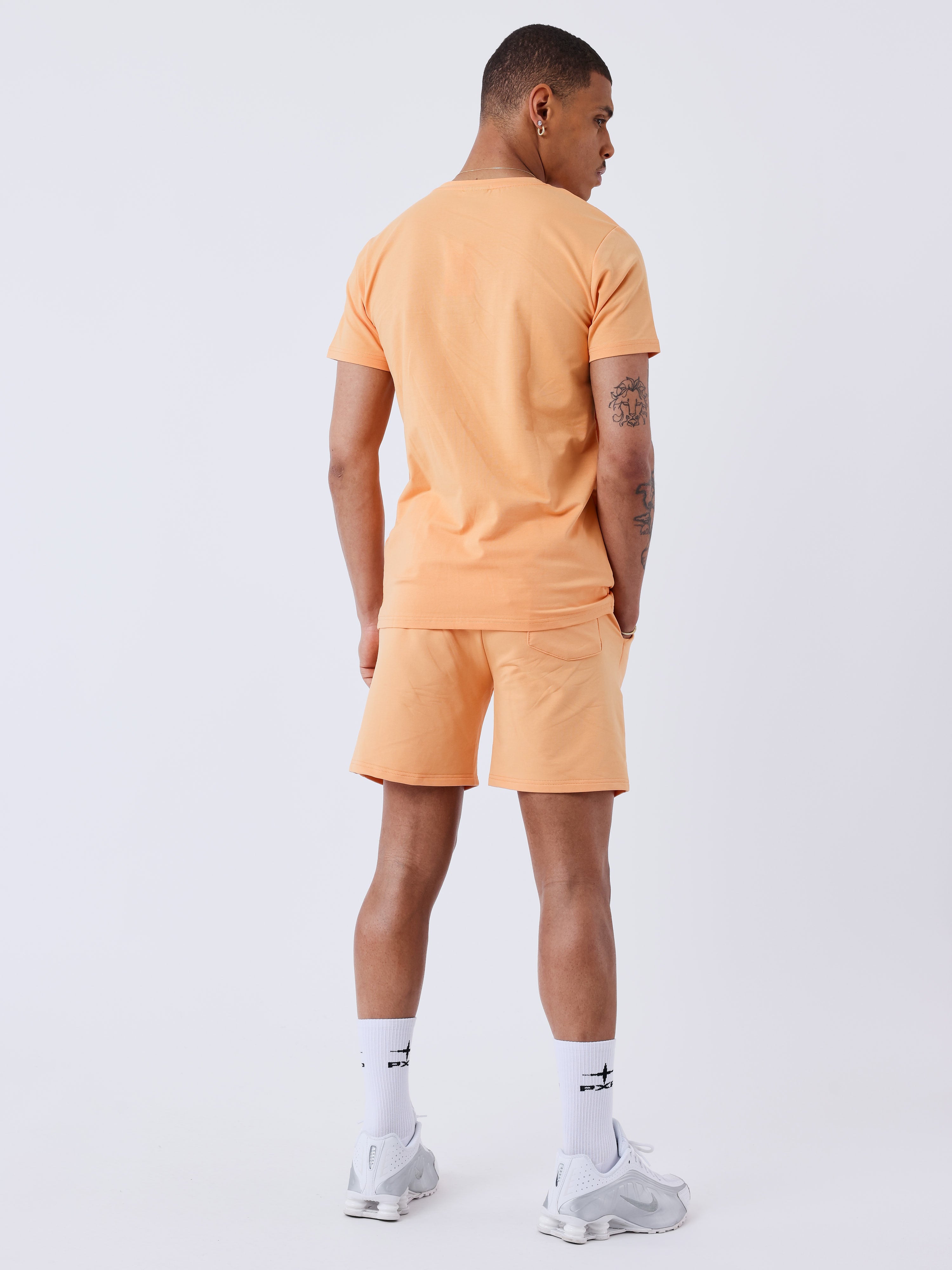 2340014-apricot-cream