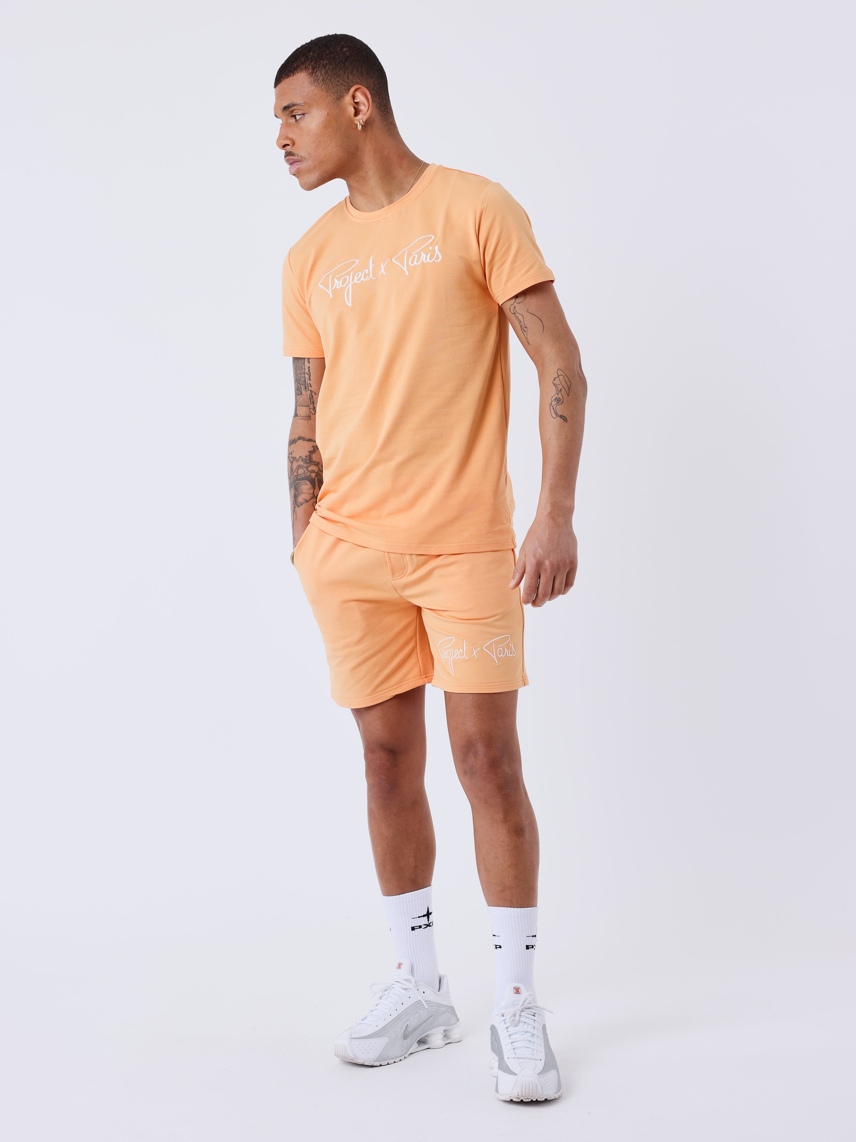 2340014-apricot-cream