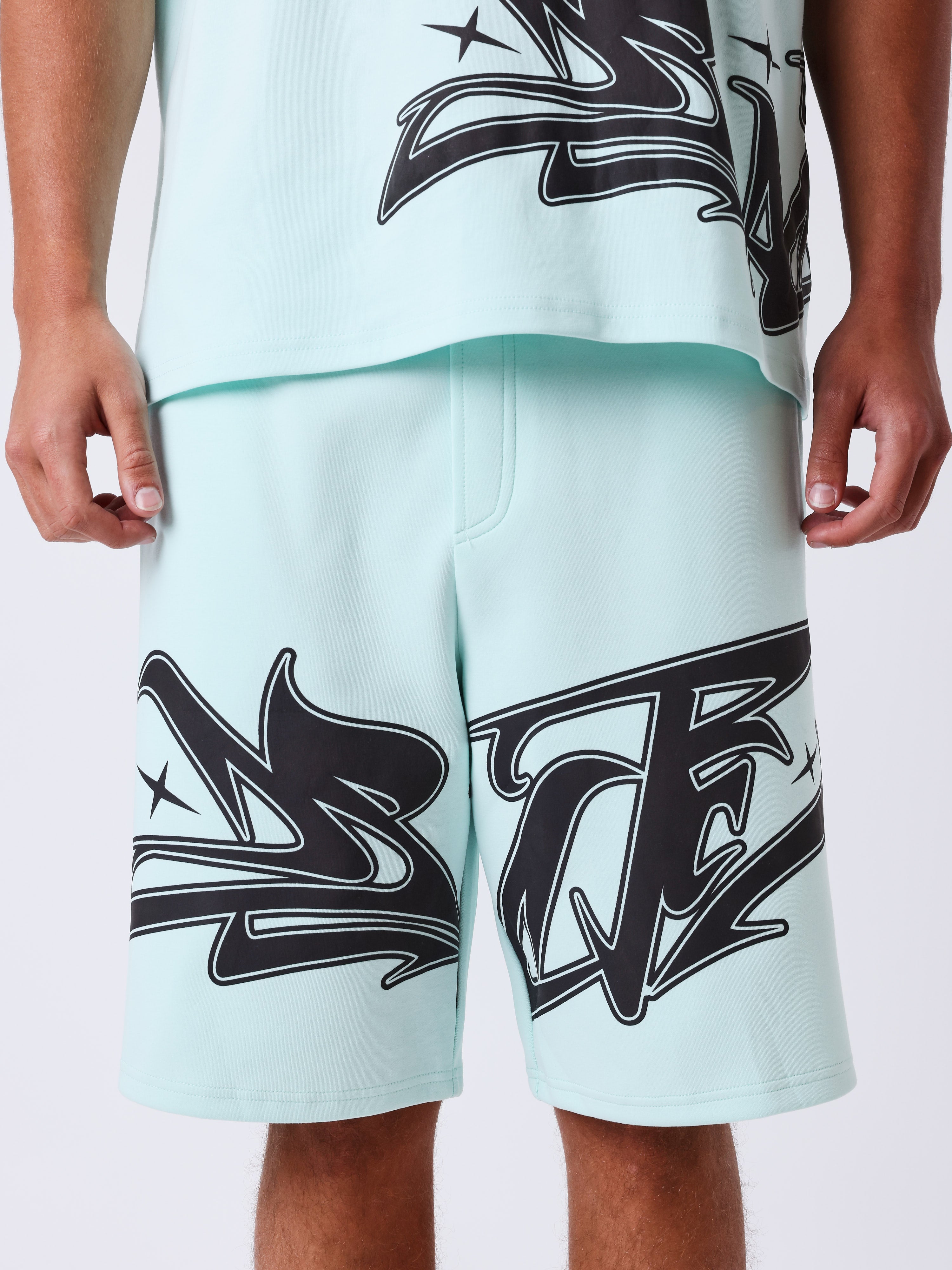 Short Flare-4