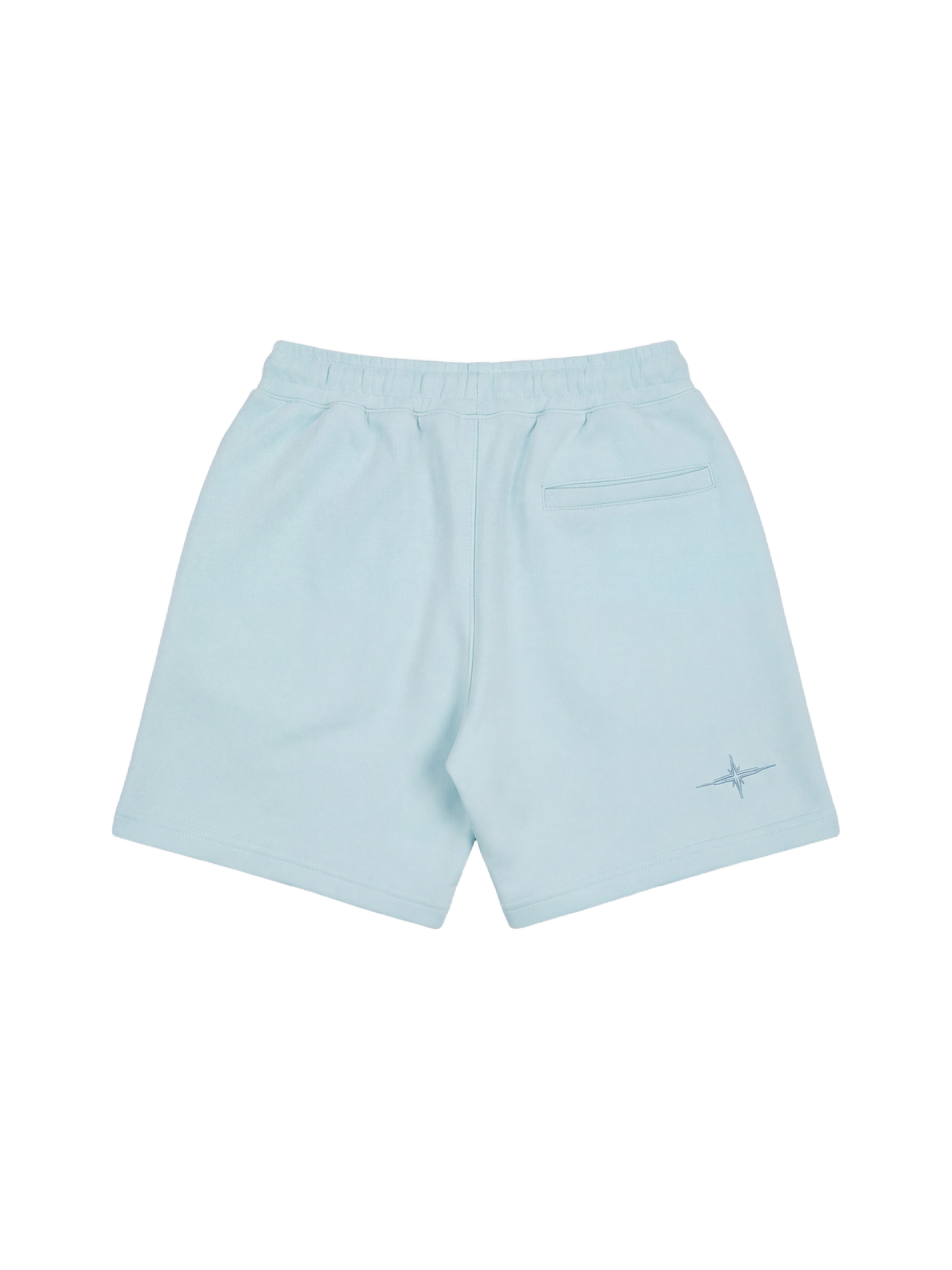 Strassy Shorts-7