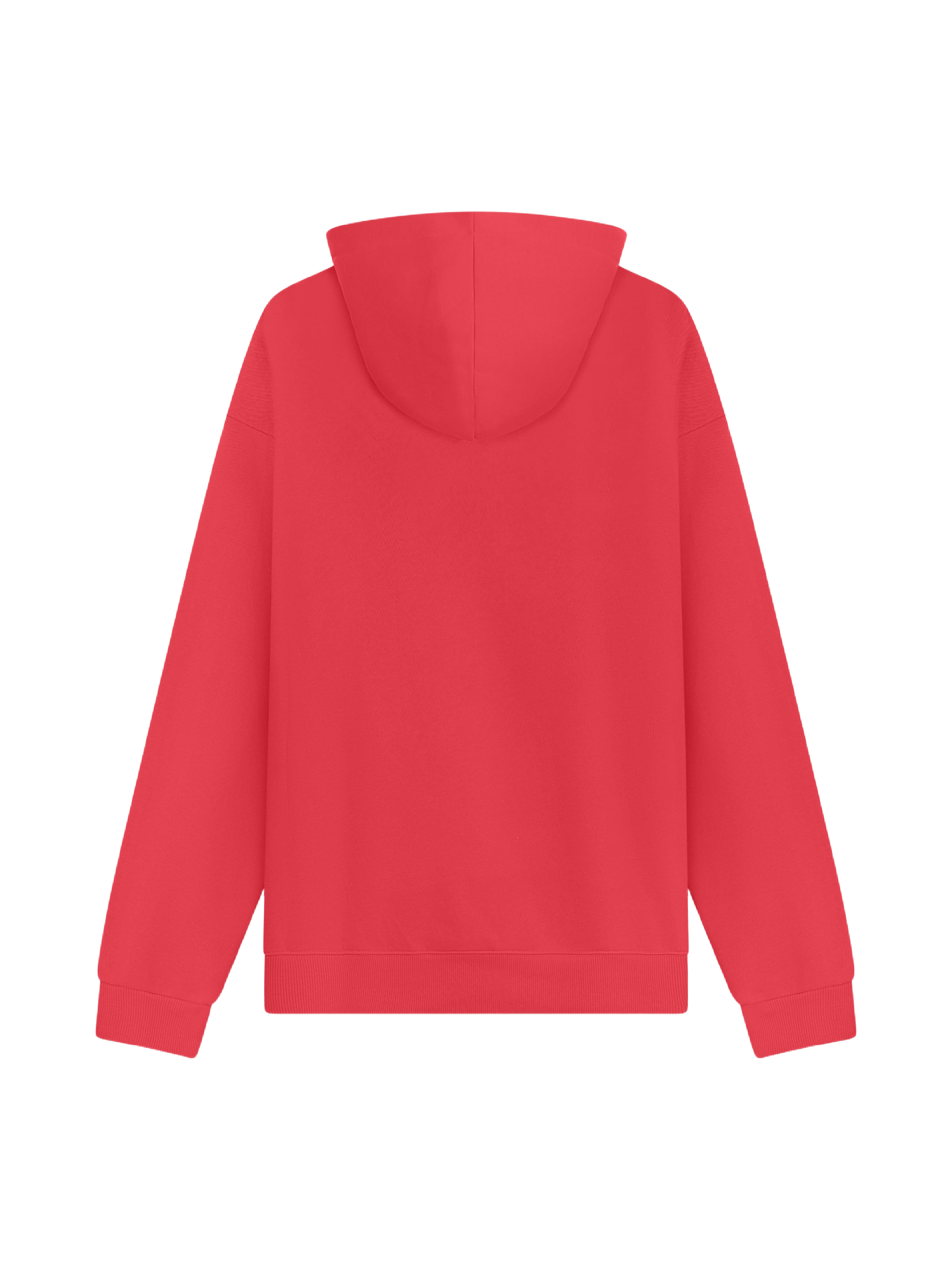 Sudadera con capucha Strass-7