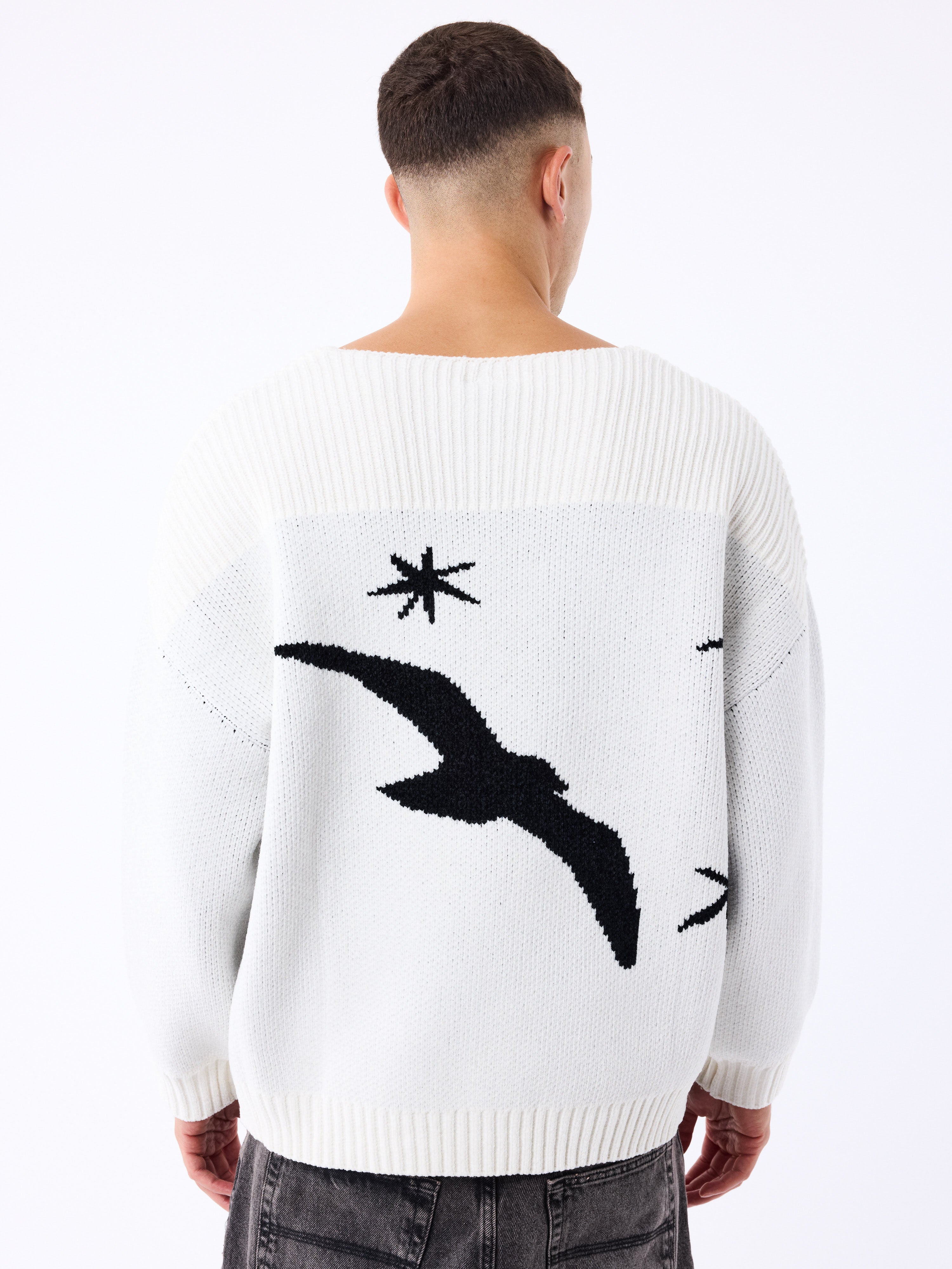 Oversized trui seagull and stars-3