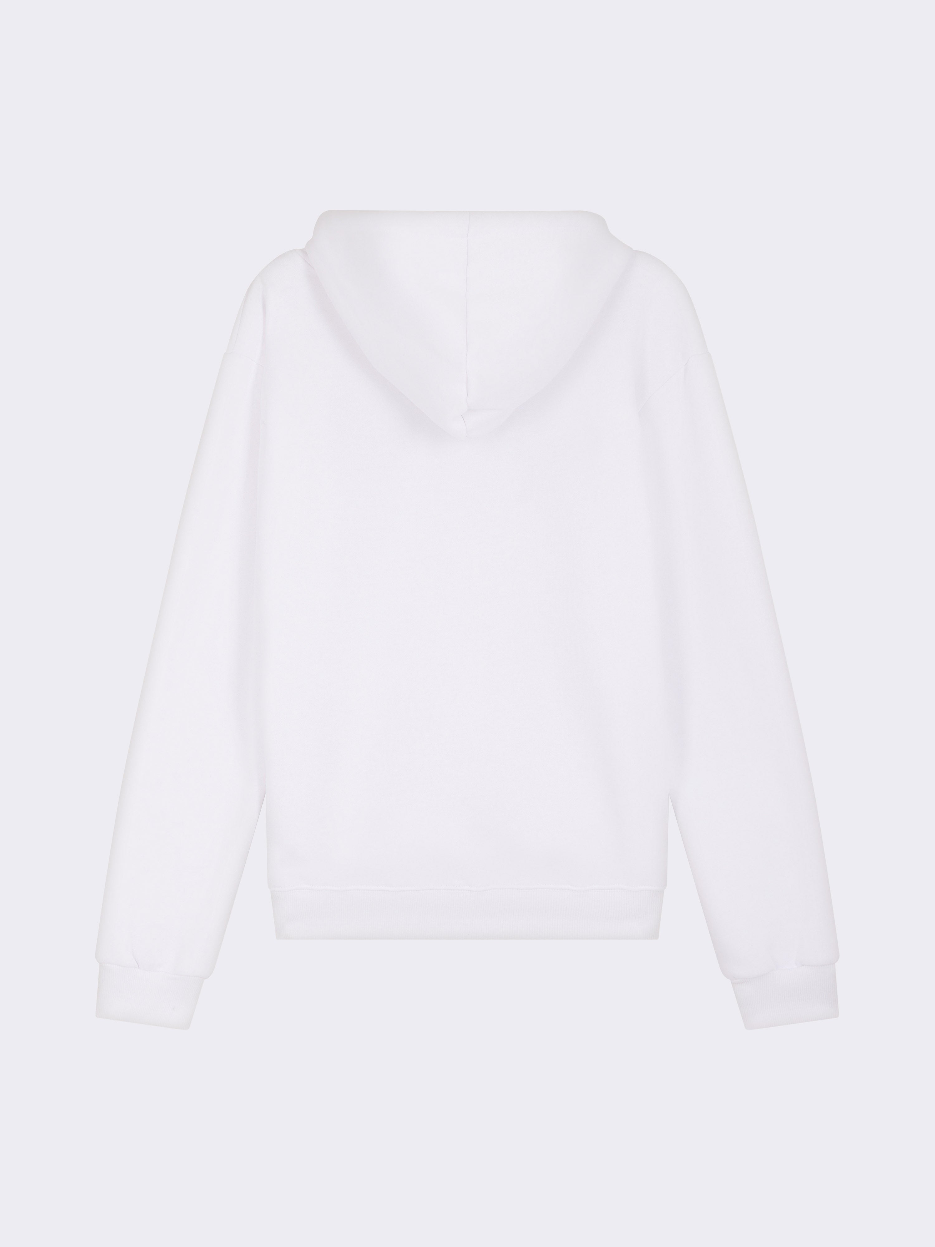 Sweat à Capuche Arcane Monkey Business-7