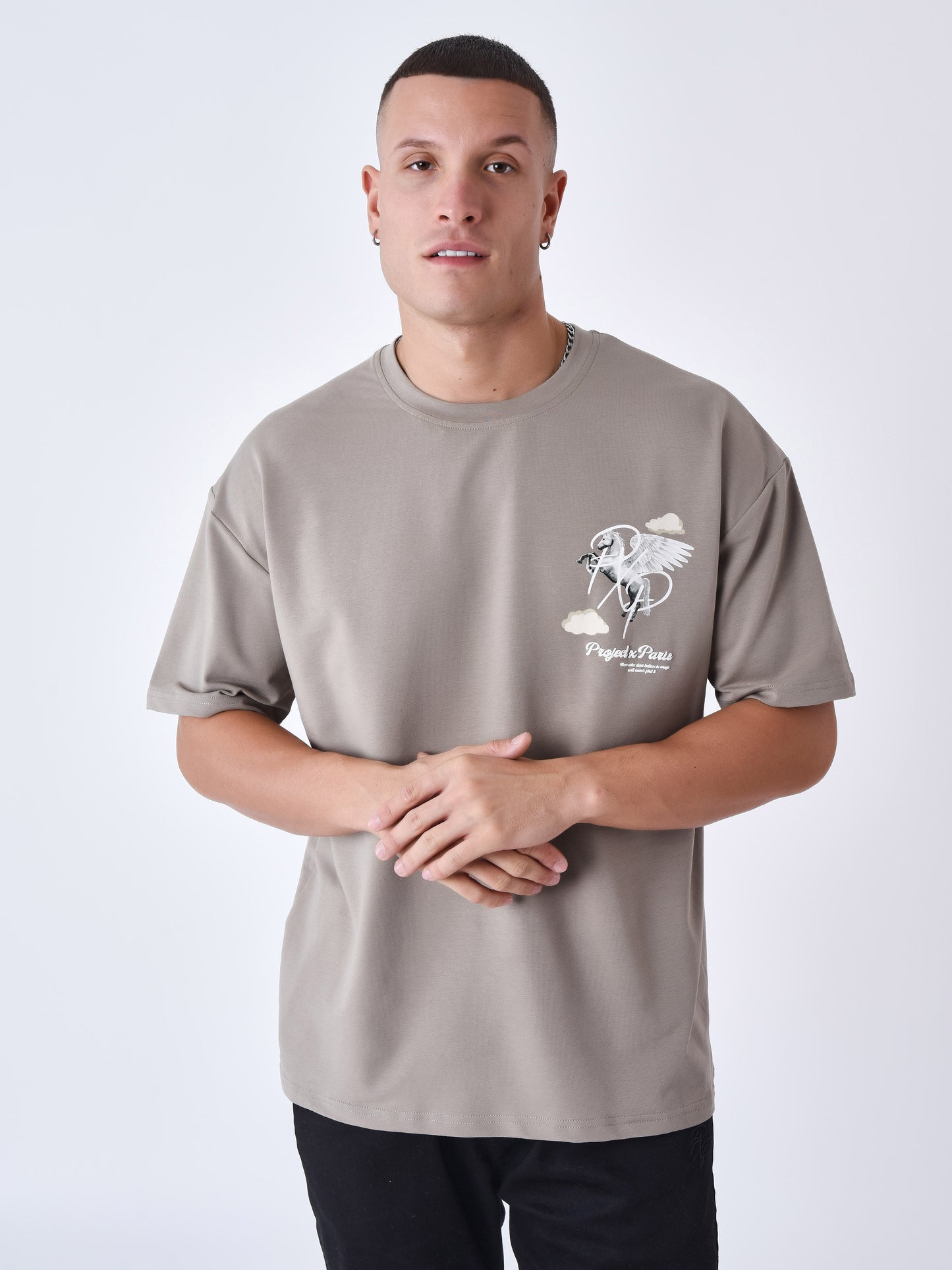 tee-shirt-motif-pegase-nuage-taupe