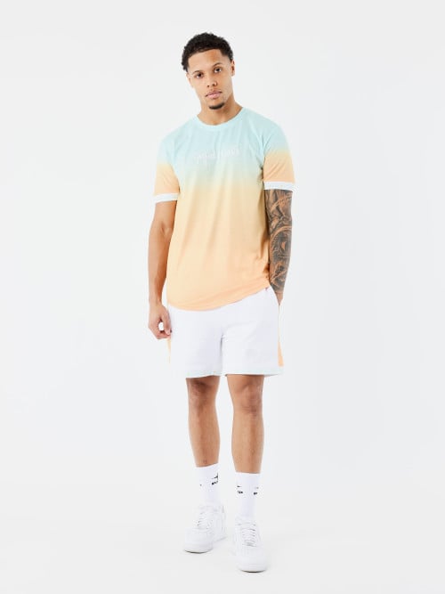 Signature gradient shorts