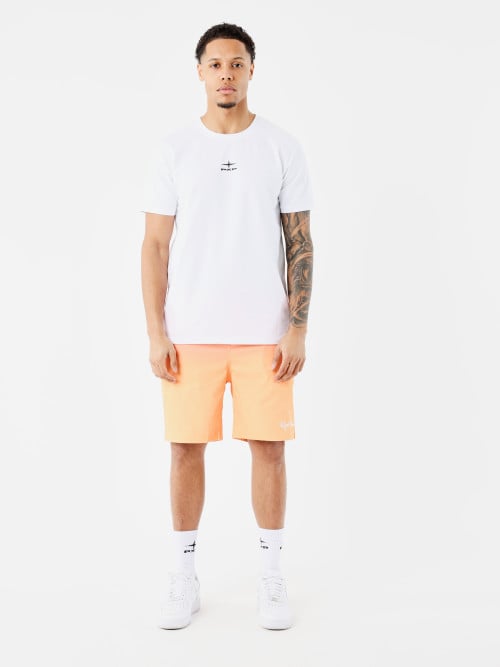 Gradient swim shorts