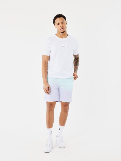 Gradient swim shorts