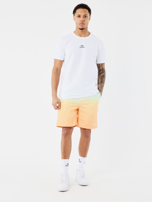 Gradient swim shorts
