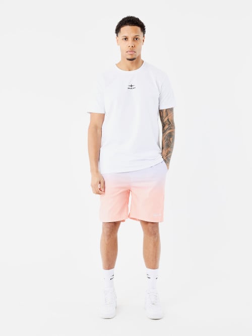 Gradient swim shorts